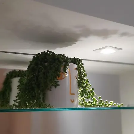 Apartment Dada Loft *