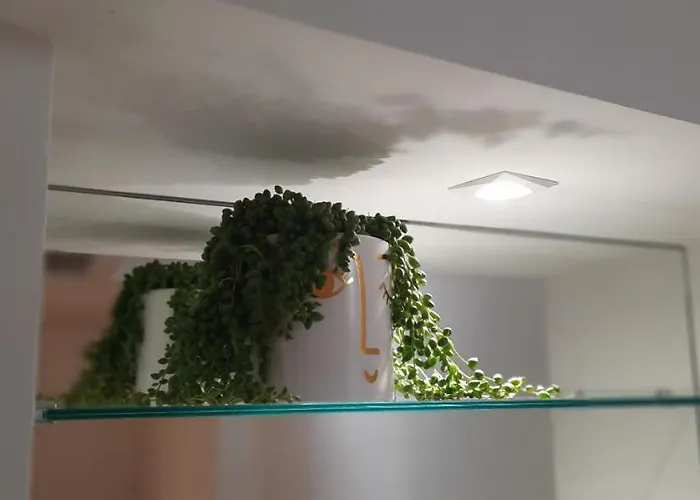 Apartman Dada Loft *